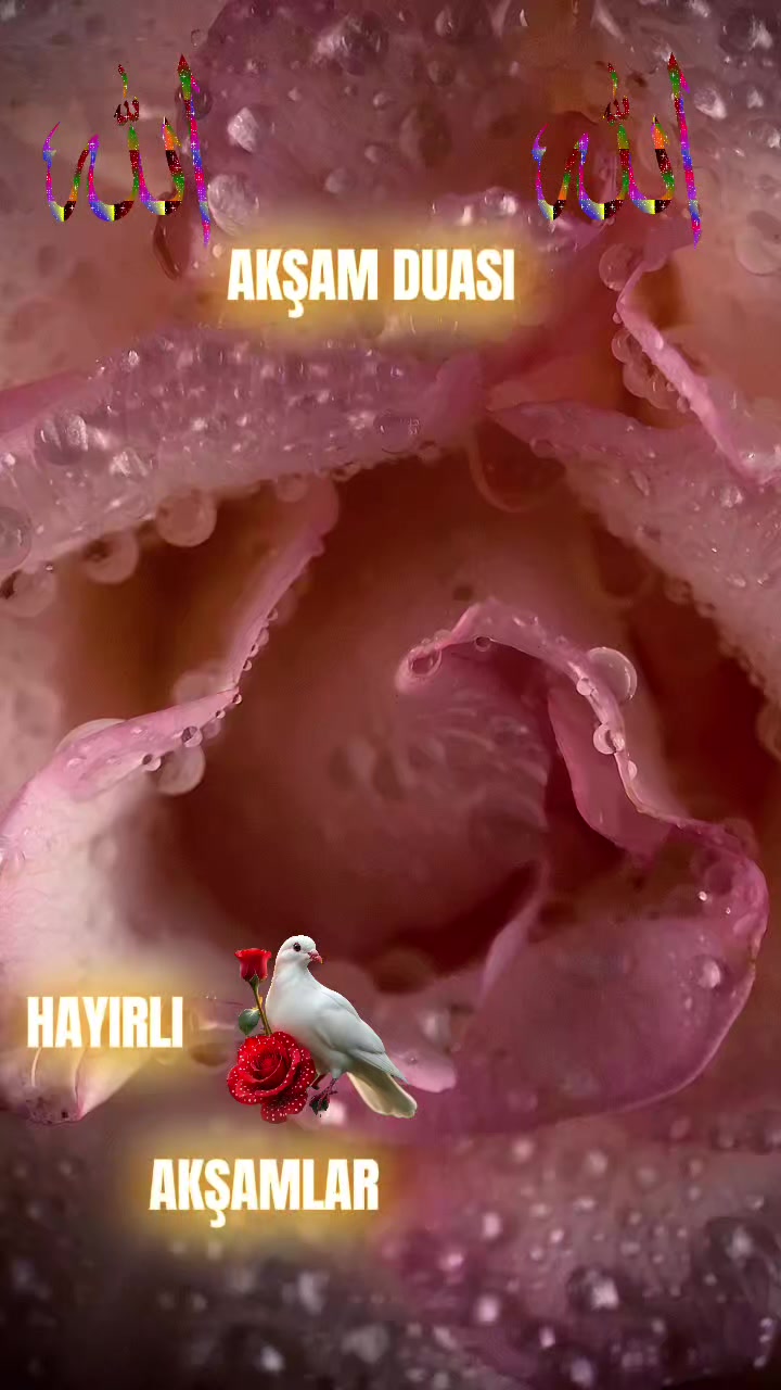 @aynur Kocakaya 280.🤲