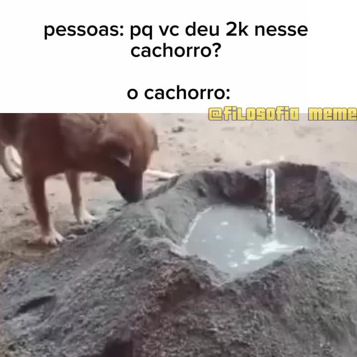 @filosofia.meme