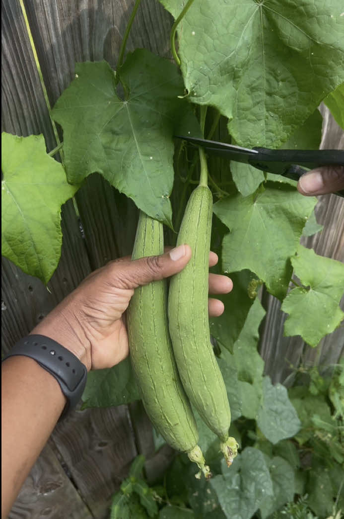 @Gardening4ME