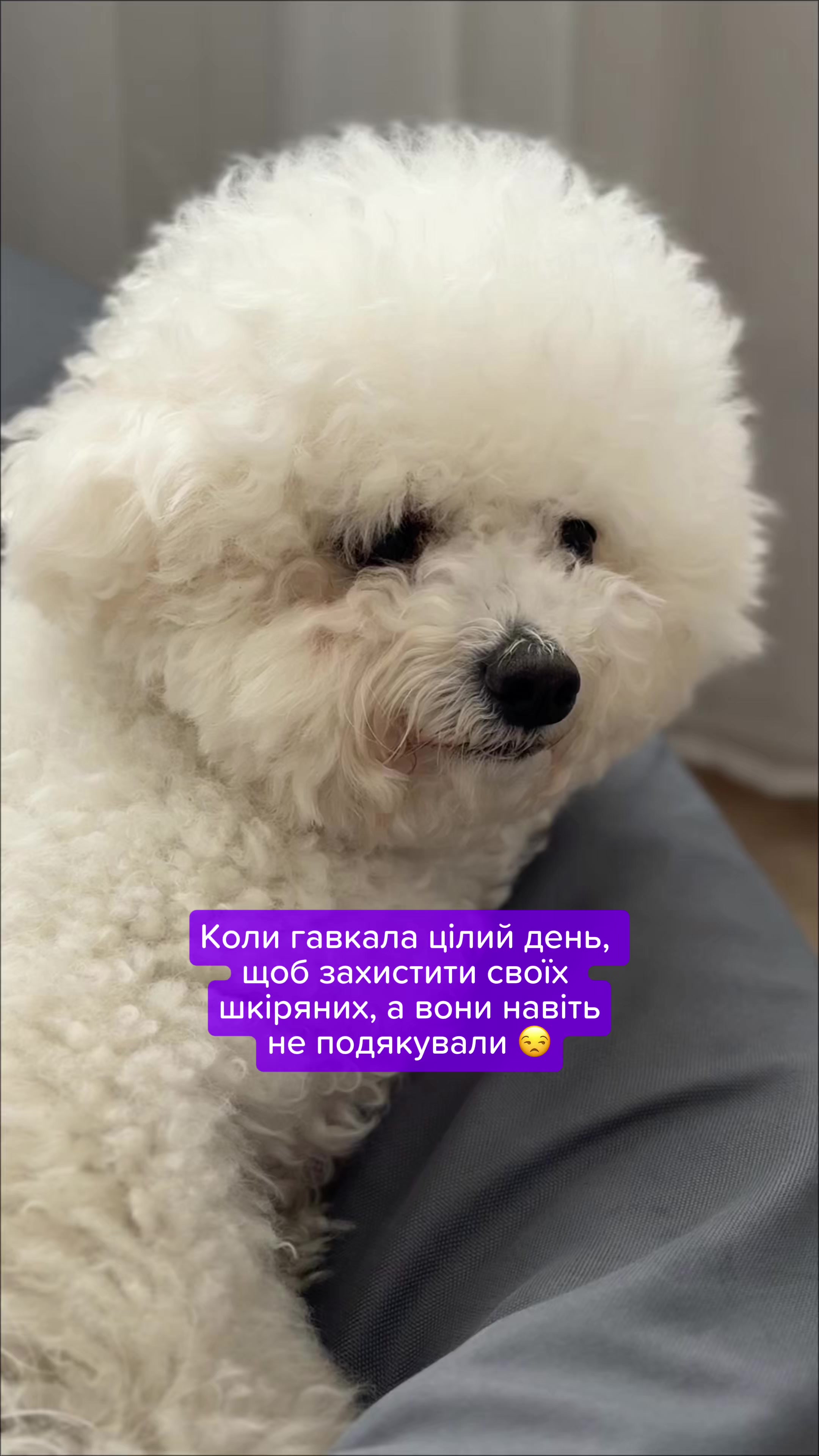 @Зоомаркет MasterZoo