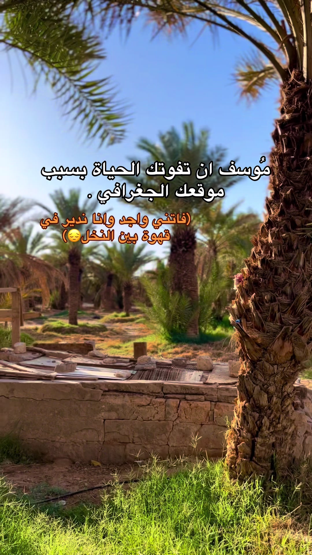 @☀️ـهـــد