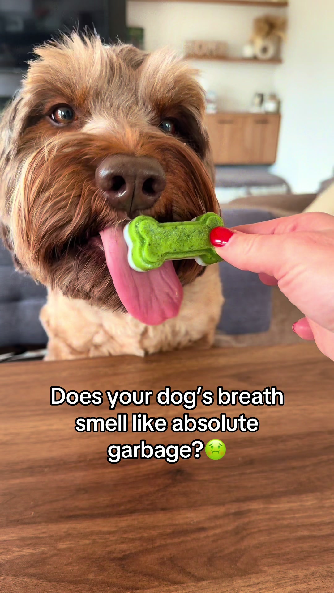 @Dogs Made Simple