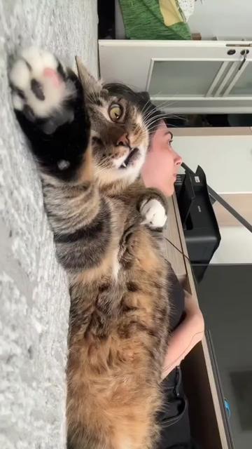 @โ๐๐๐๐โ