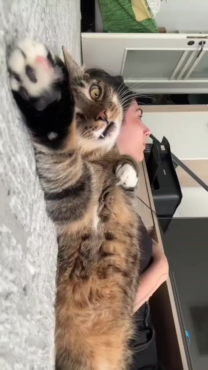 @โ๐๐๐๐โ