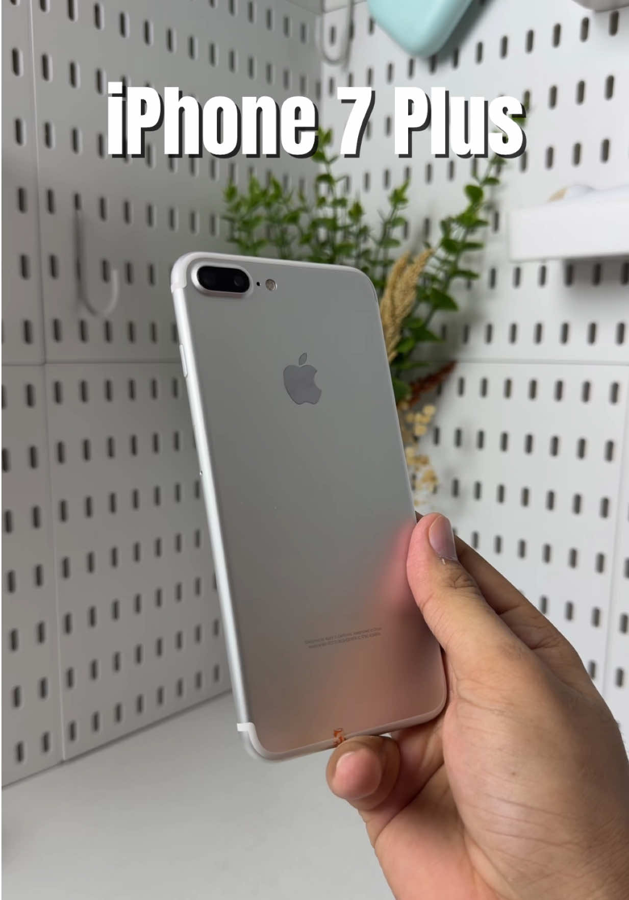 @iPhonary 🩷