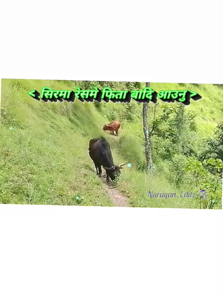 @๐๐ฅ๐จ๐ง๐_๐๐๐ข๐ญ๐ณ๐ณ๐ต