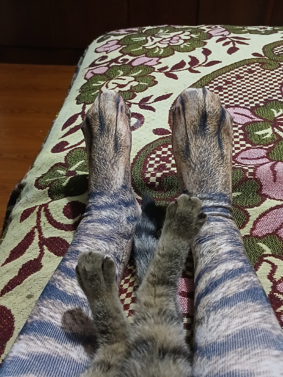 @Erika Fernanda 🦝👩&zwj;🎨