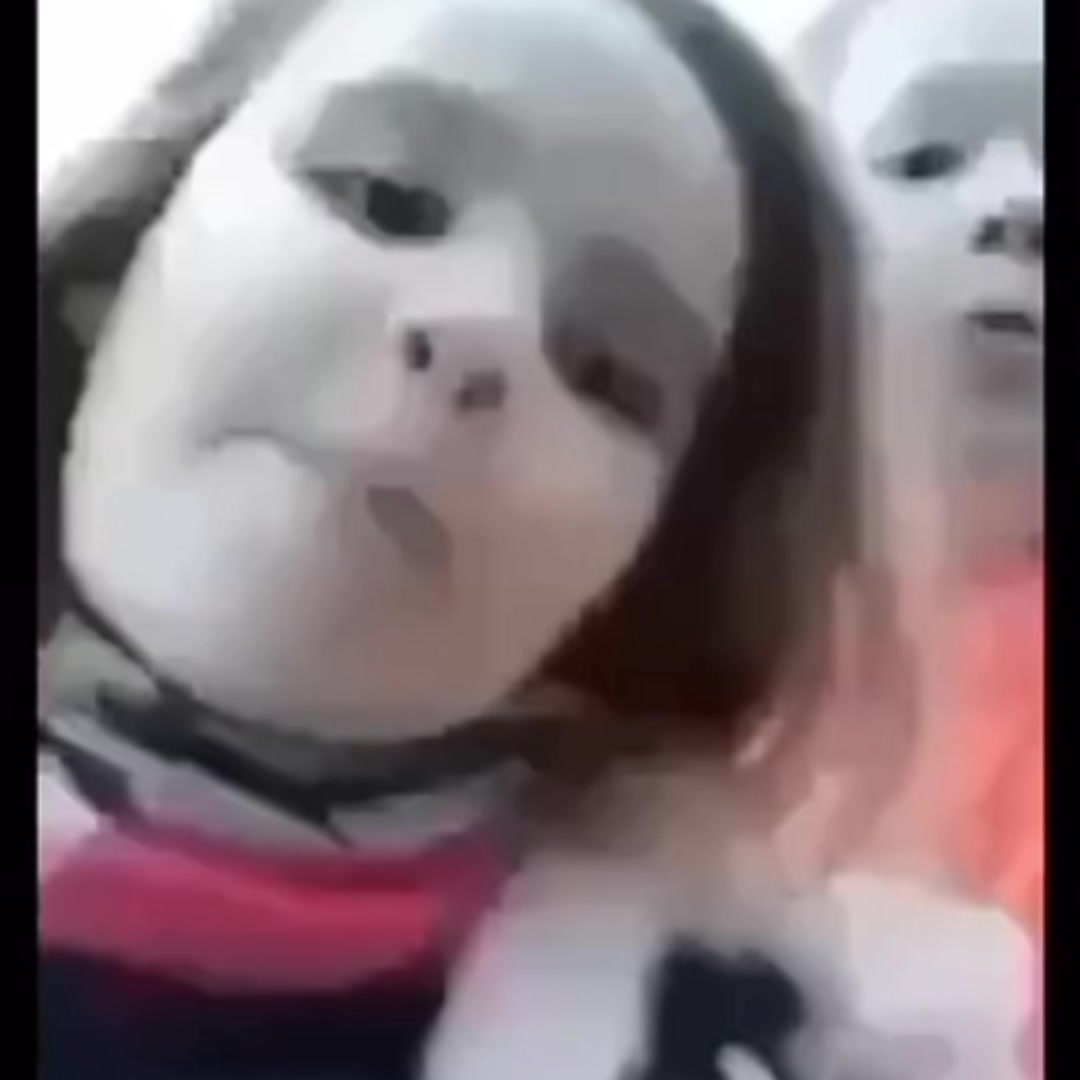 @britneyspearslover911