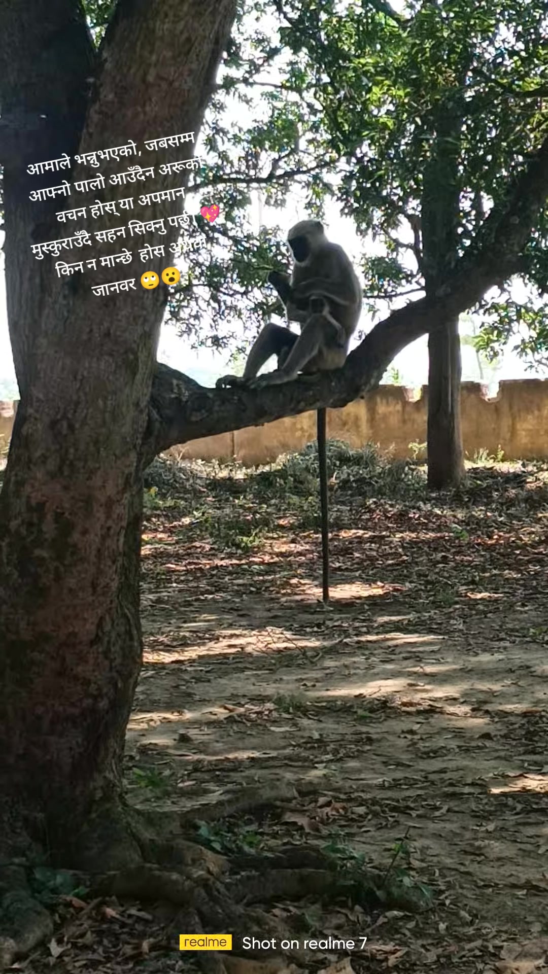 @करेजा हाे🤭❤️