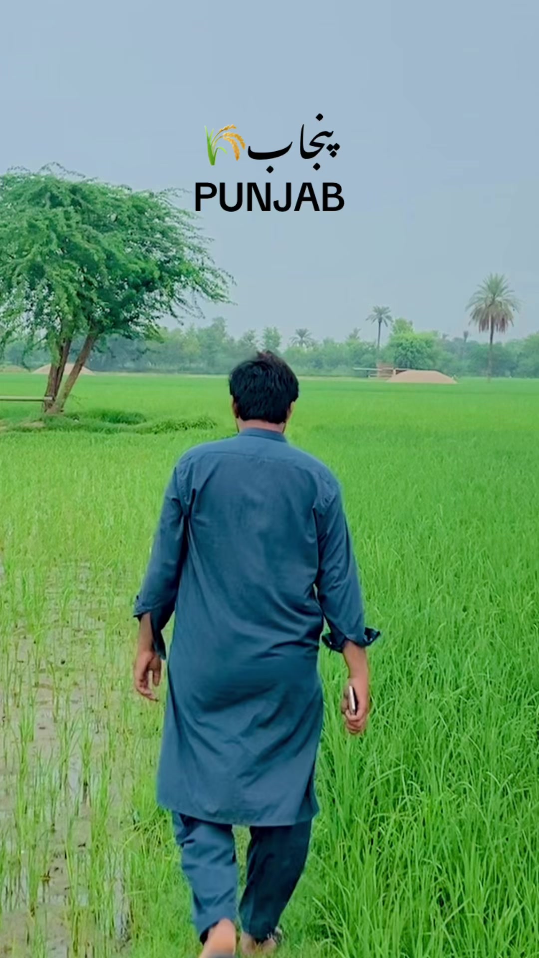 @عثمانی جوتہ شورکوٹ الہ🔥