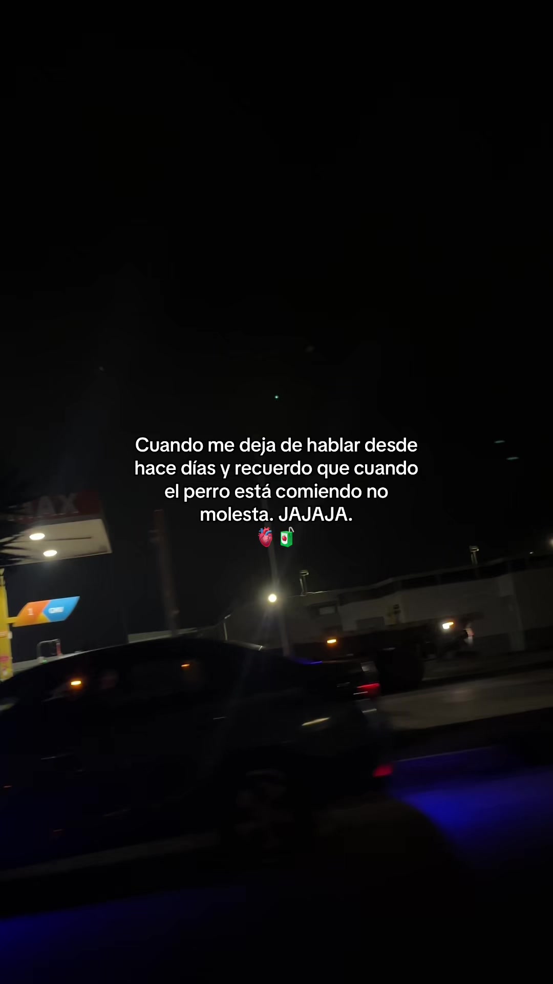 @Gatocix 🐱