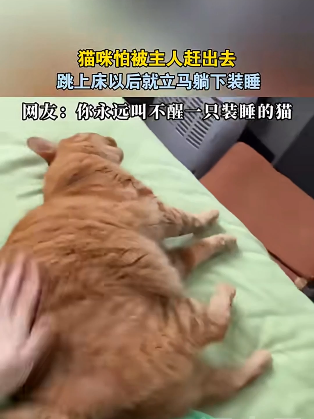 @闽南风～