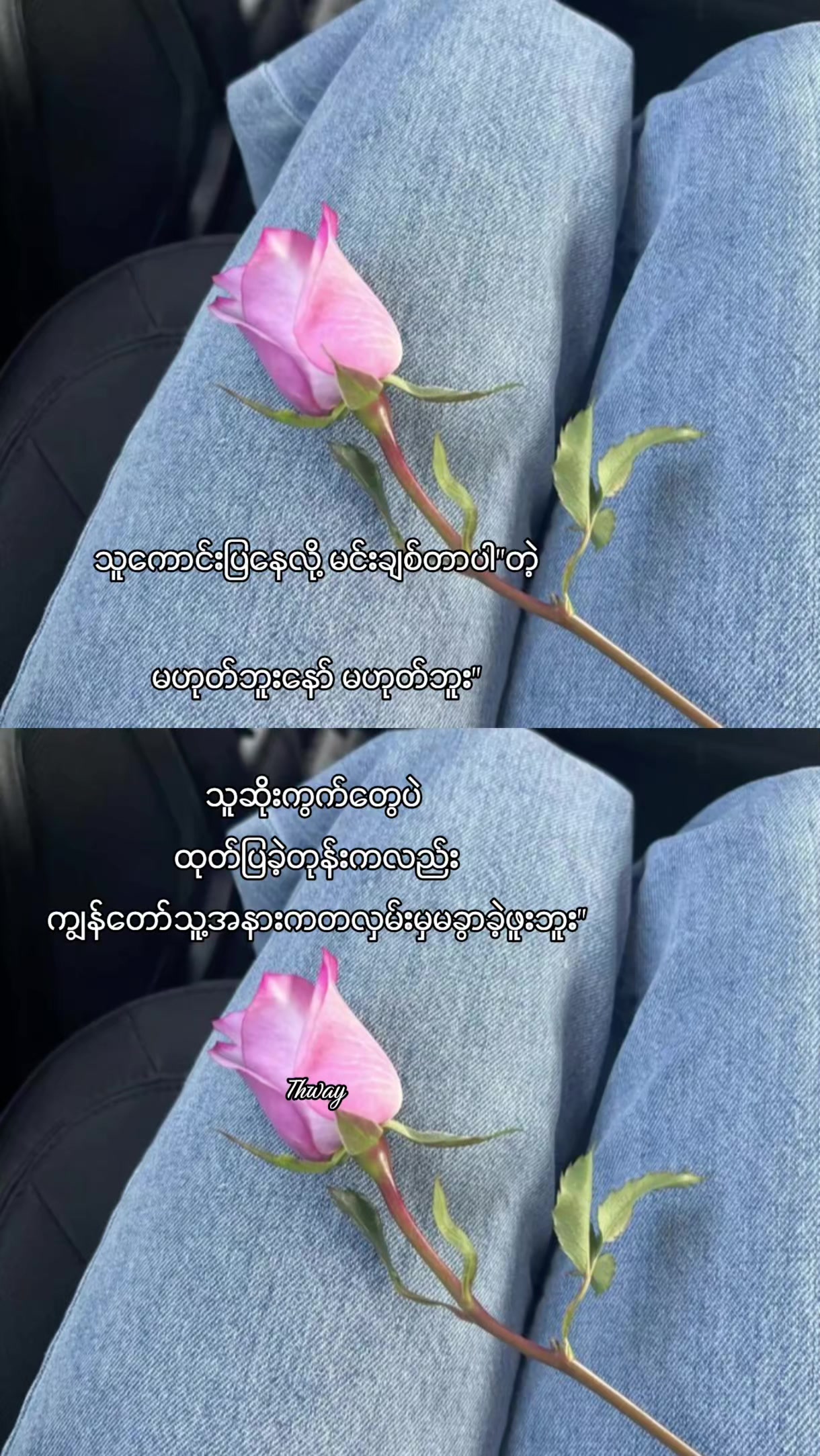 @đđđ¨đđŞ