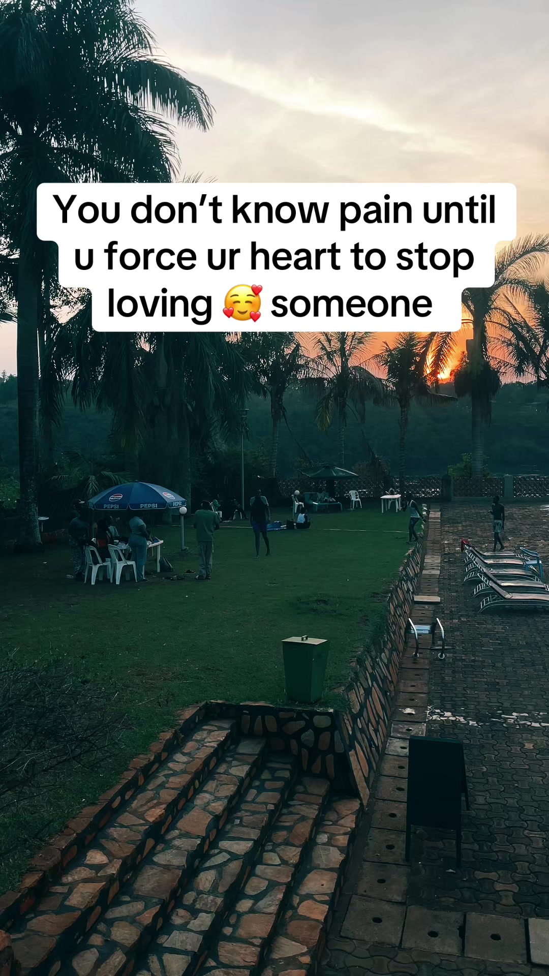 @theryan256