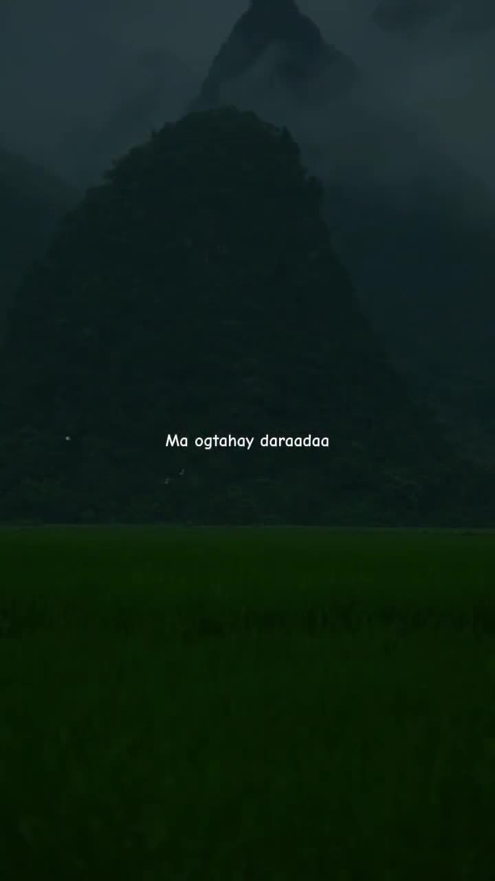 @𝗠𝗨𝗦𝗔𝗔𝗟𝗜𝗗