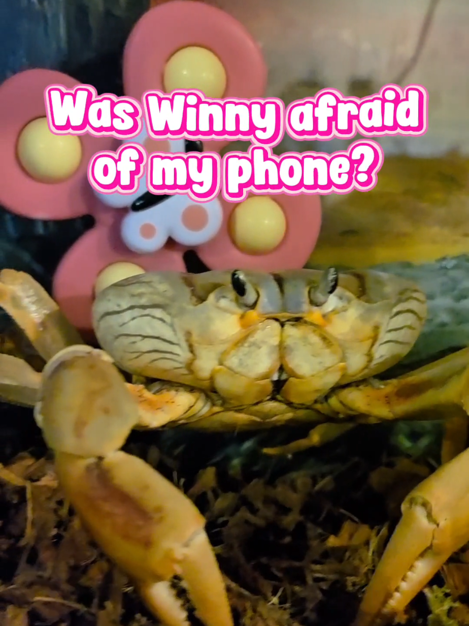@Howie The Crab
