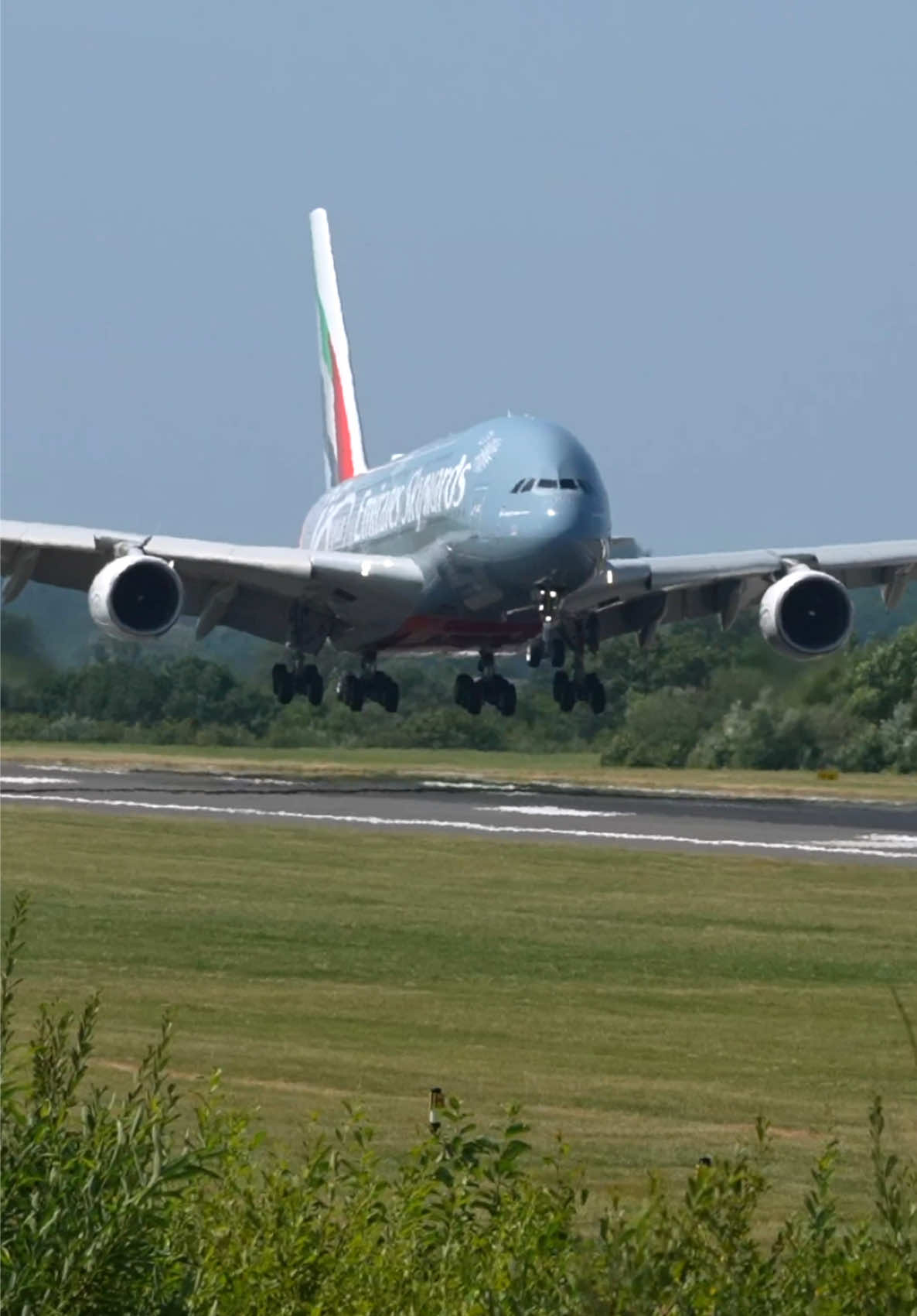 @Think Planes