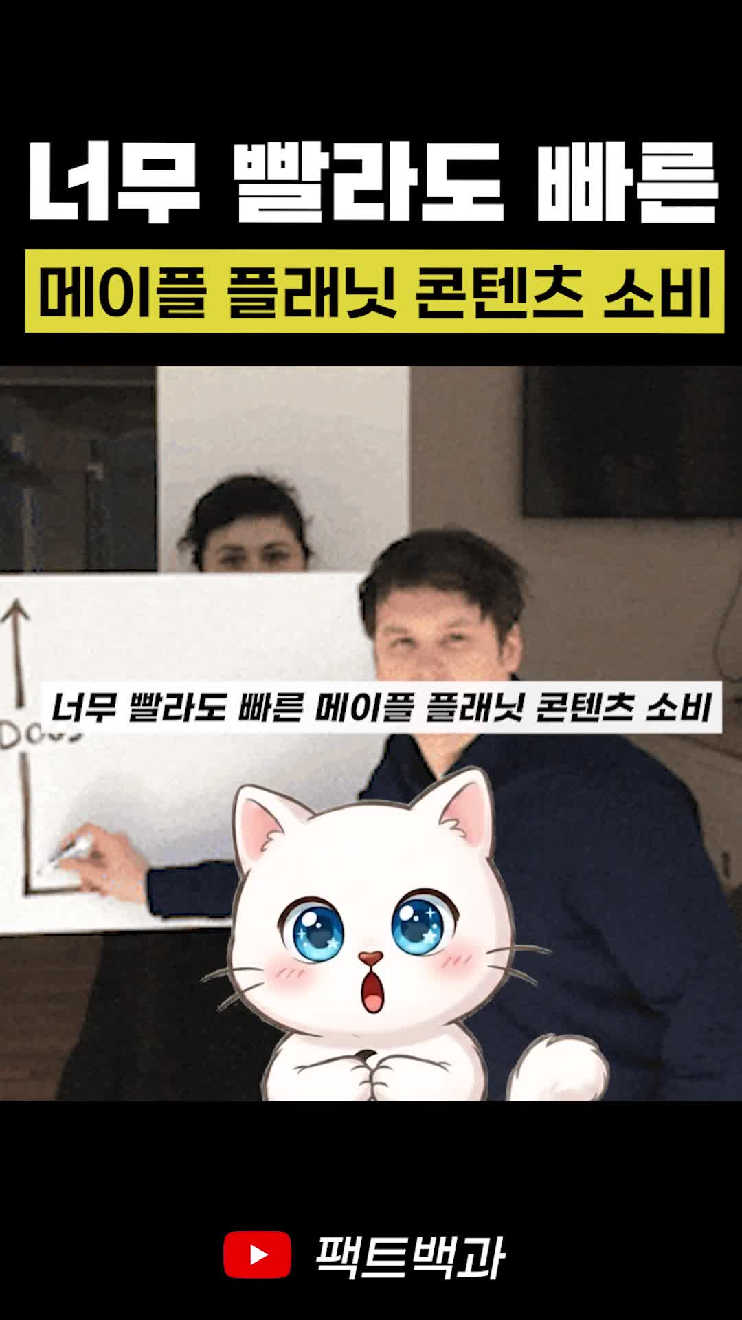 @인물백과