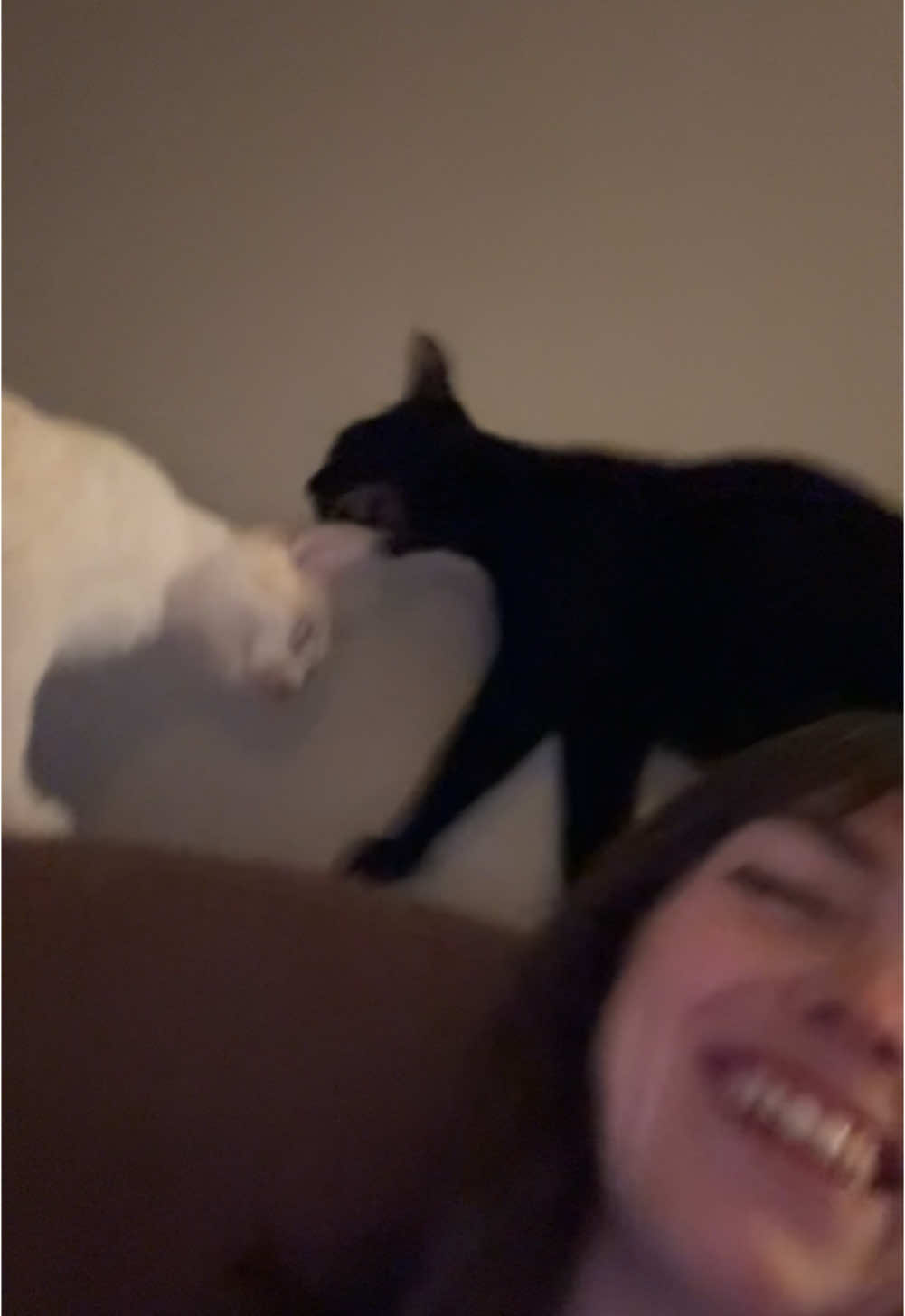 @Gizmo & Falkor🇨🇦🐾