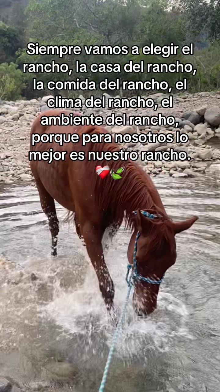 @️Karol