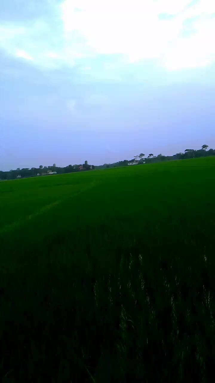@🥰🥰Mayabi Pori🥰🥰