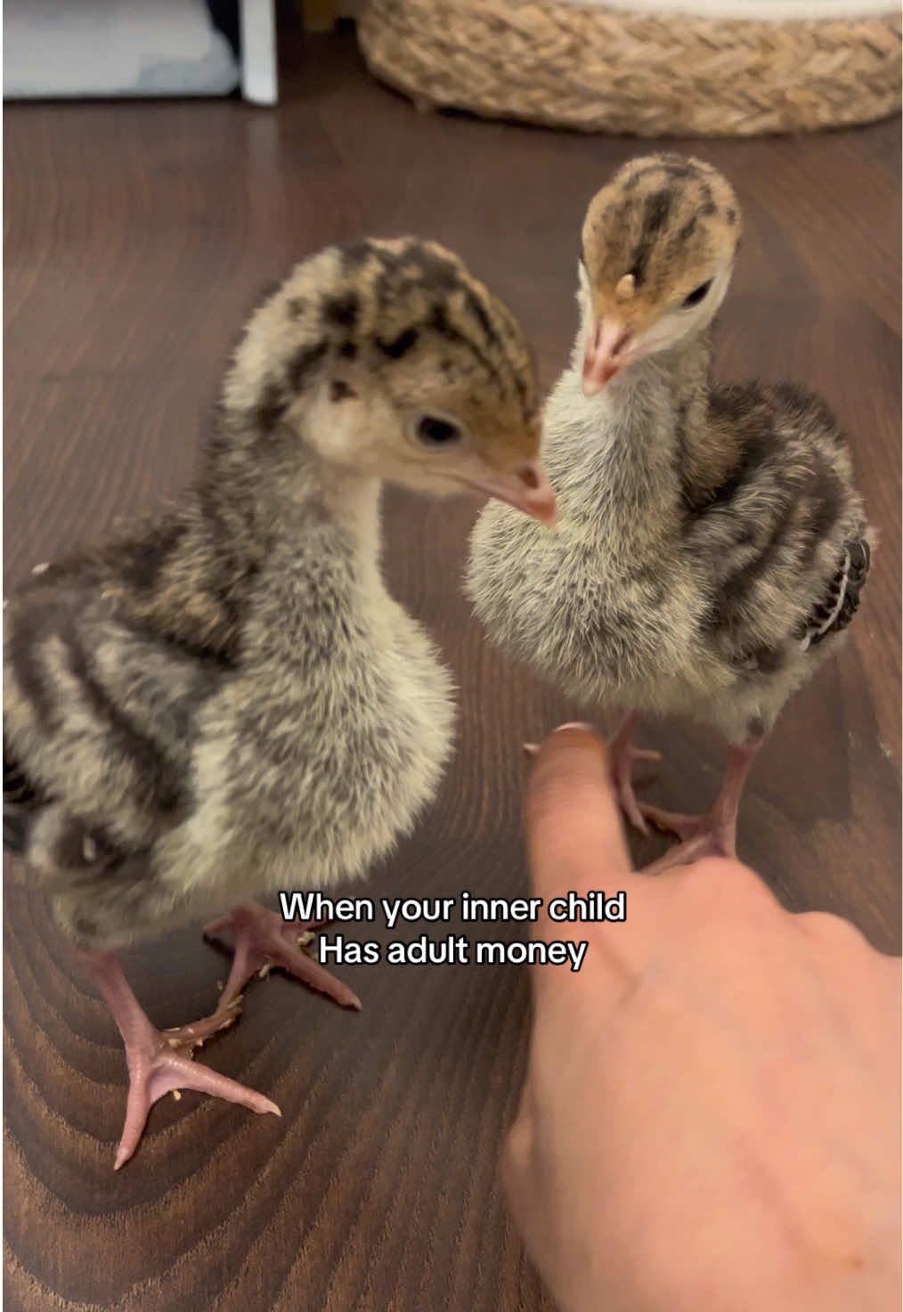 @Pond Side Acres