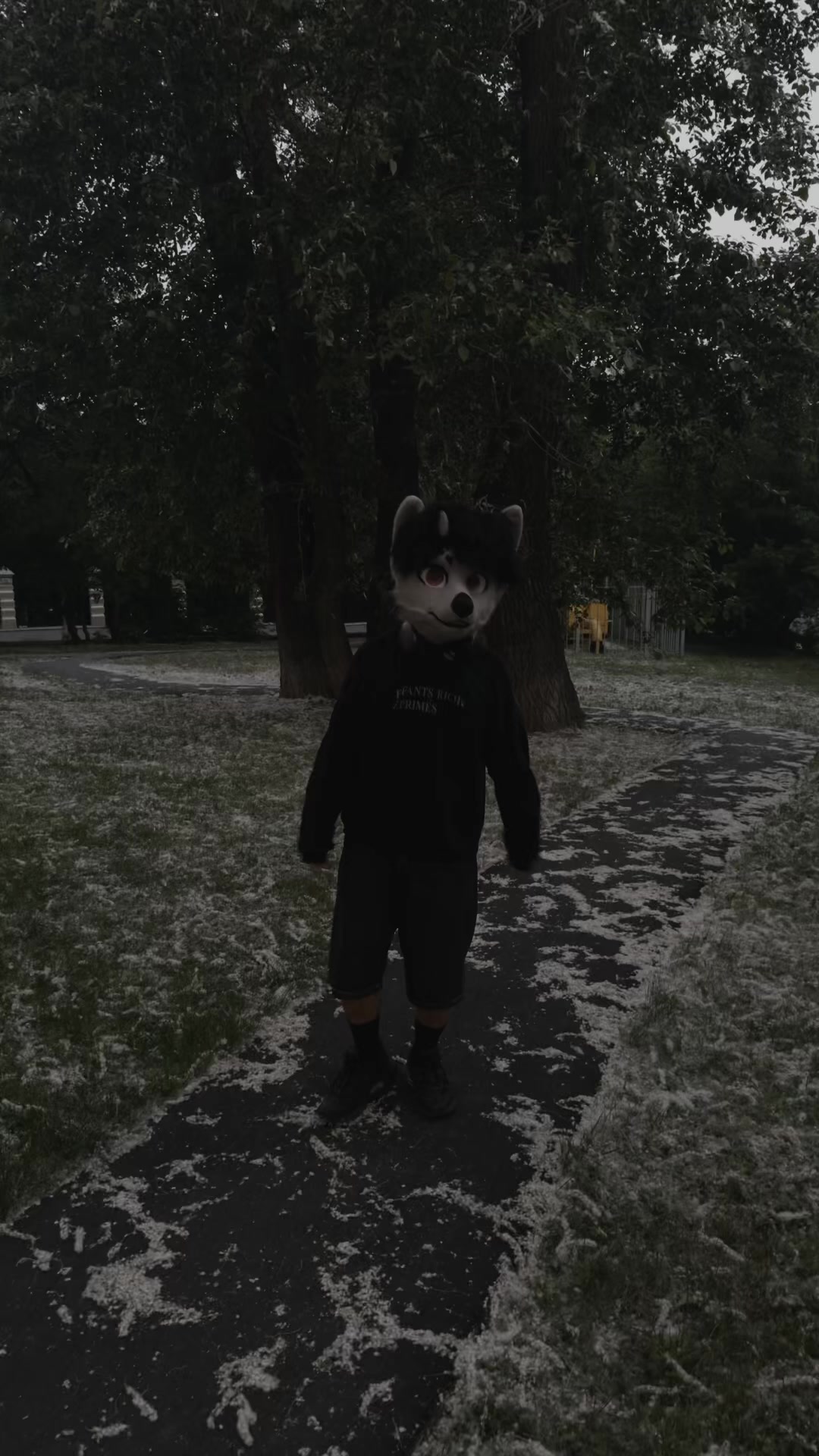 @фыркалко 🐾