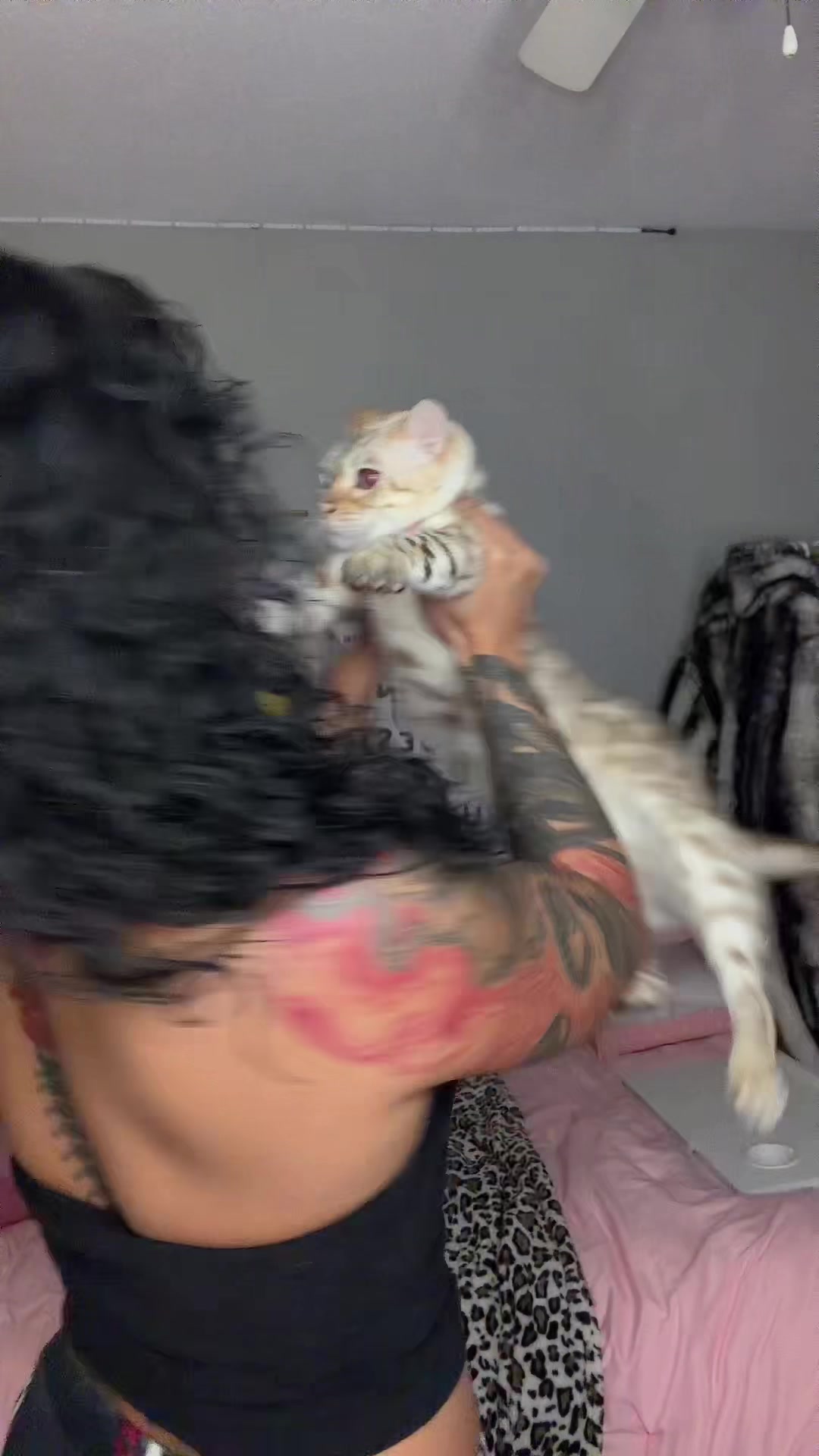 @Mirajane The Bengal🐾