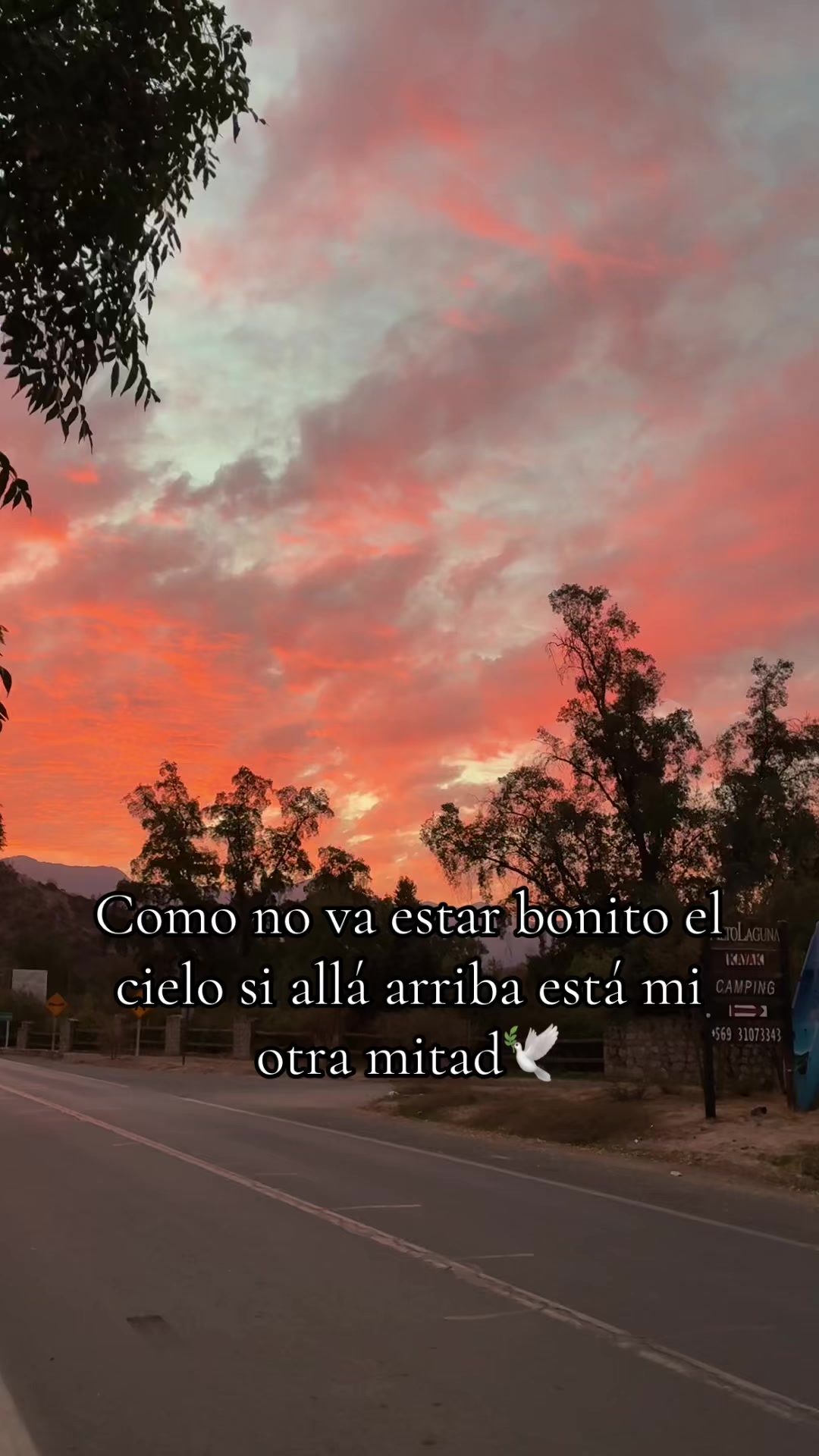 @Javier Andres