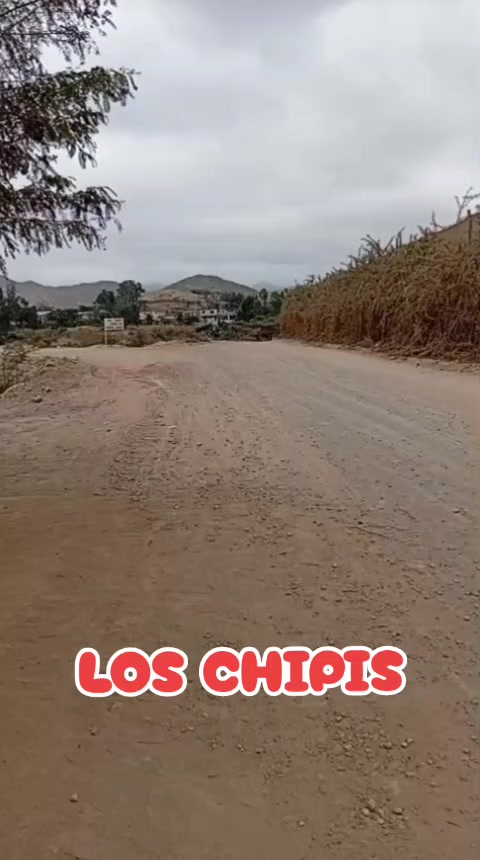 @USMAR 29