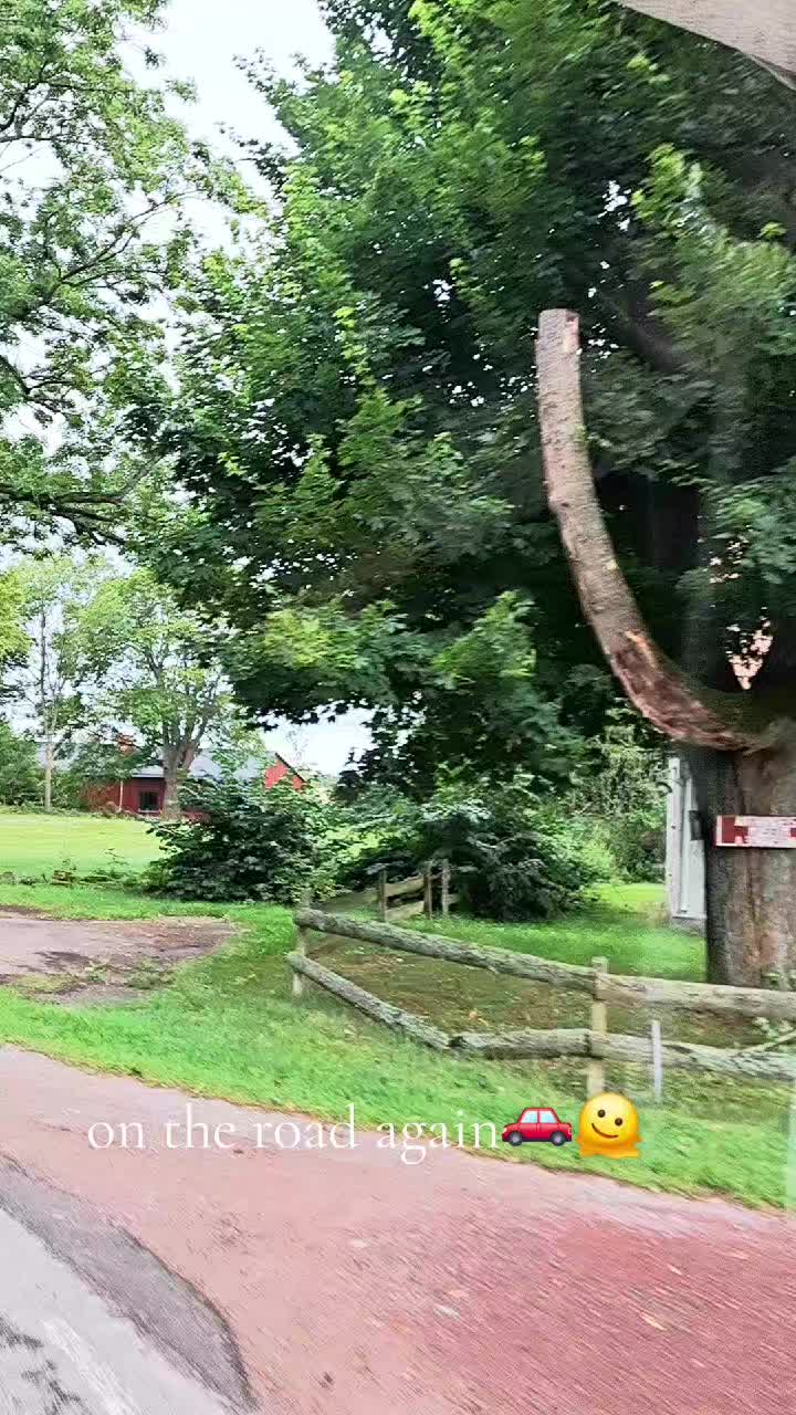 @birgit.hohleweg