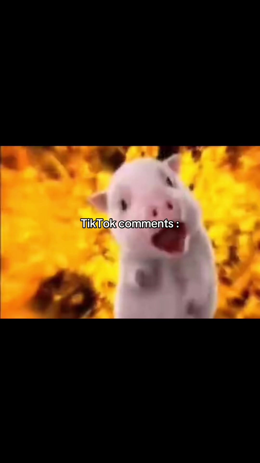 @⋆Кйи♬⋆˙