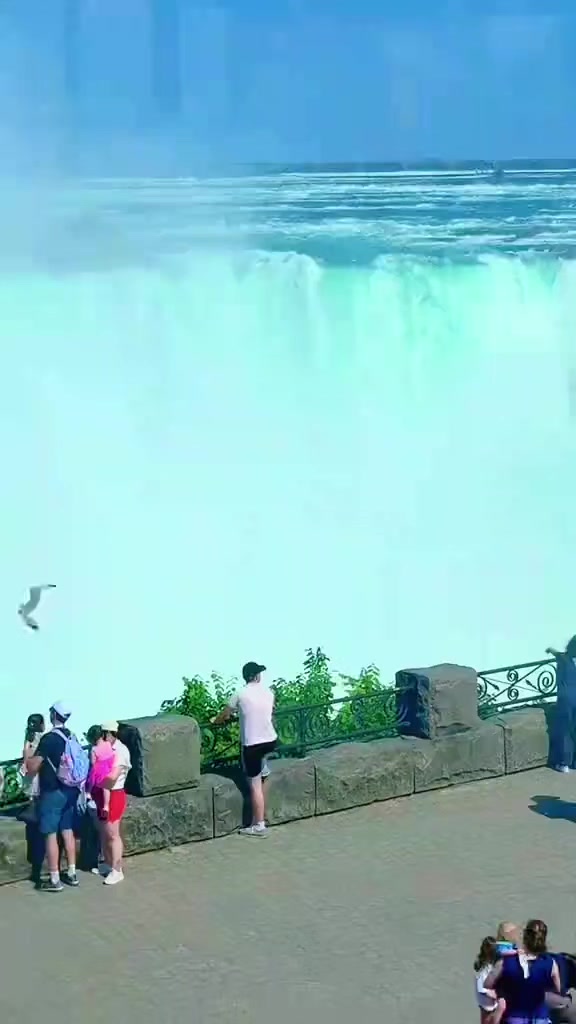 @naheedqureshi389