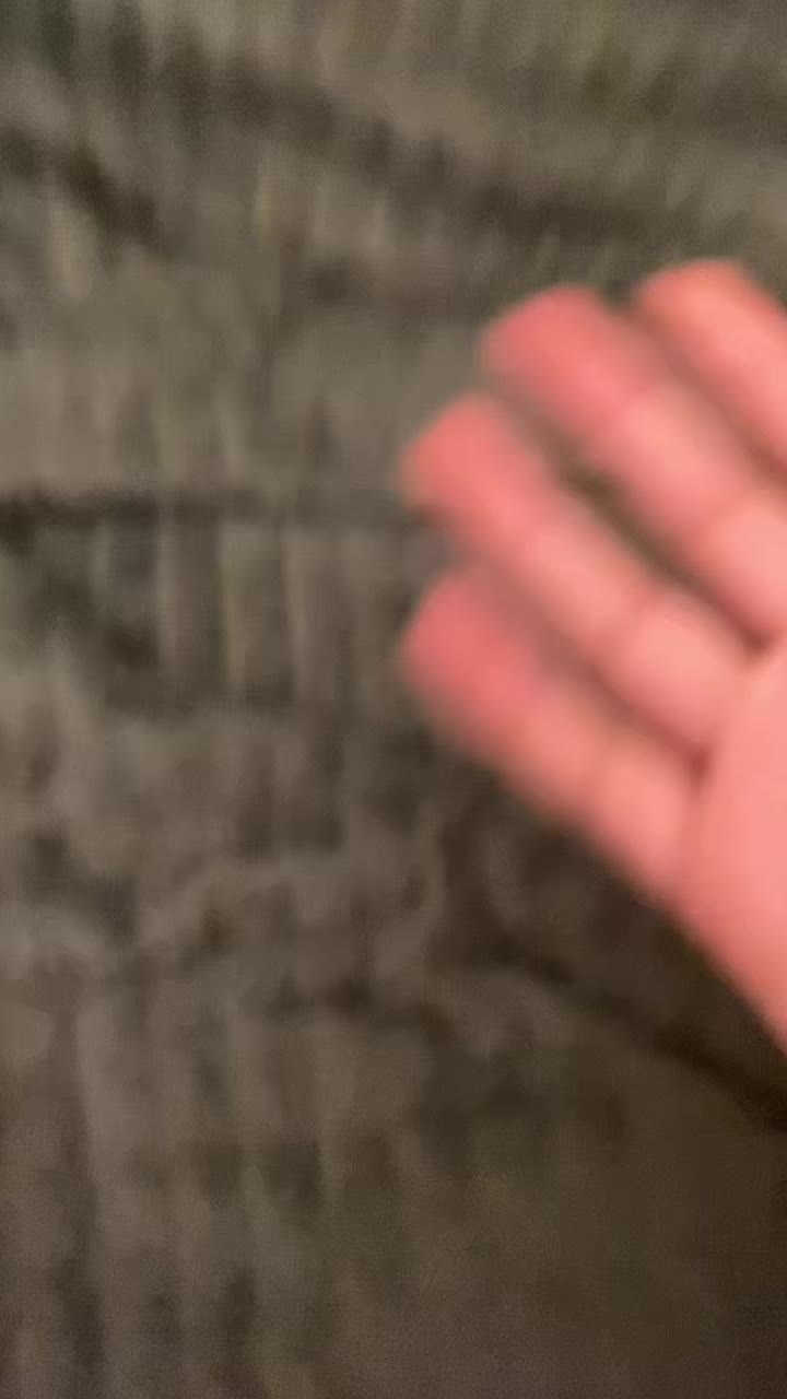 @wolf_p4ws