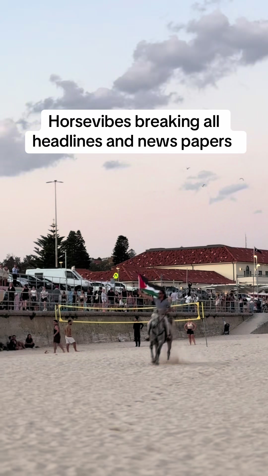 @Horsevibez