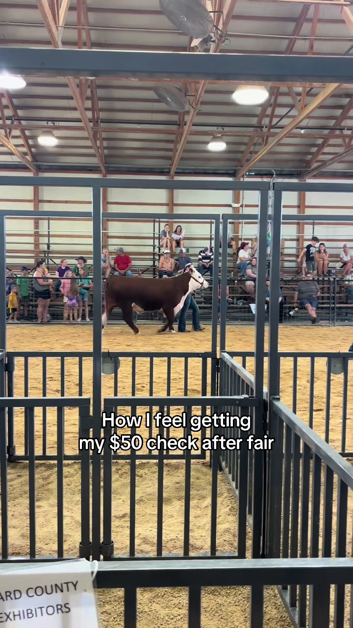 @Sylvia🐄
