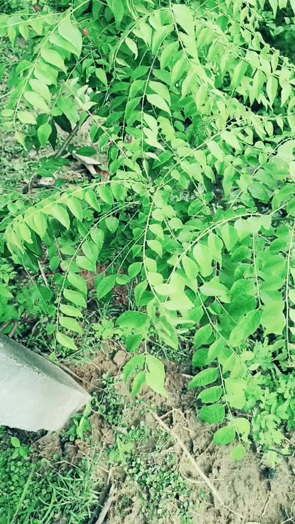 @꧁ঔৣ☠︎PRAJAPATI☠︎ঔৣ꧂