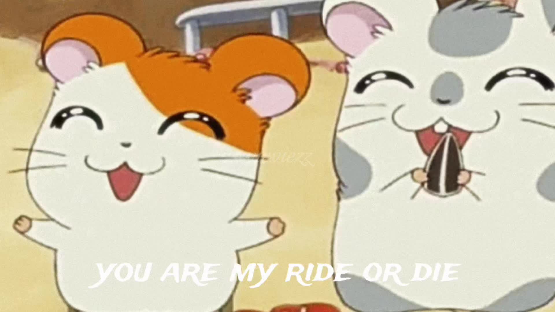 @jello