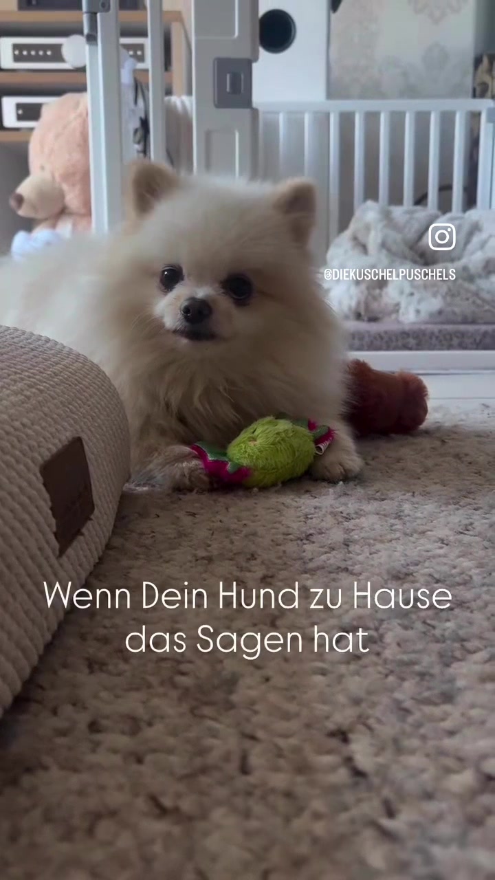 @dieKuschelpuschels🧸✨🩷