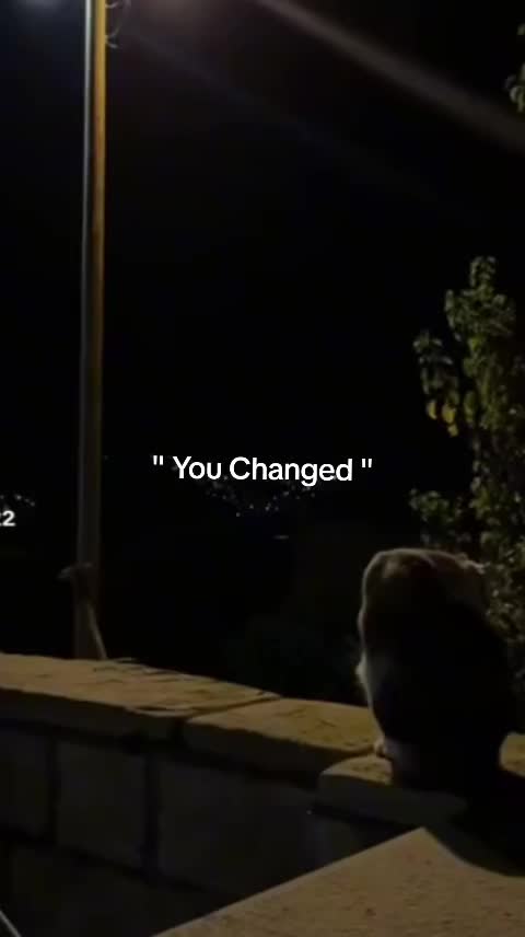 @Kami 🤍🦋