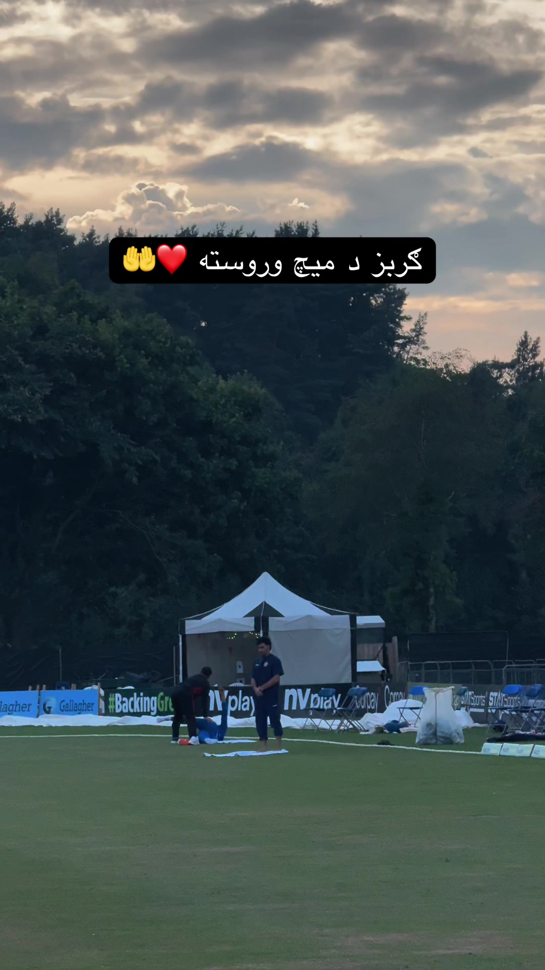 @Saeed Safi