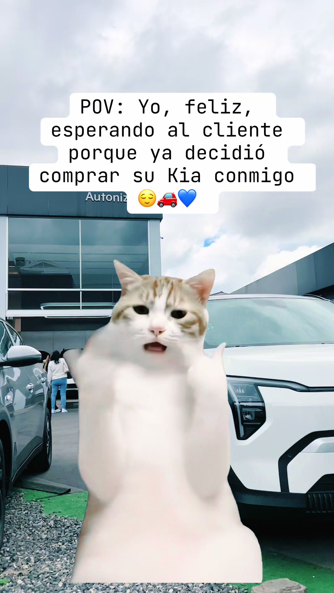 @tuguiaparatukia