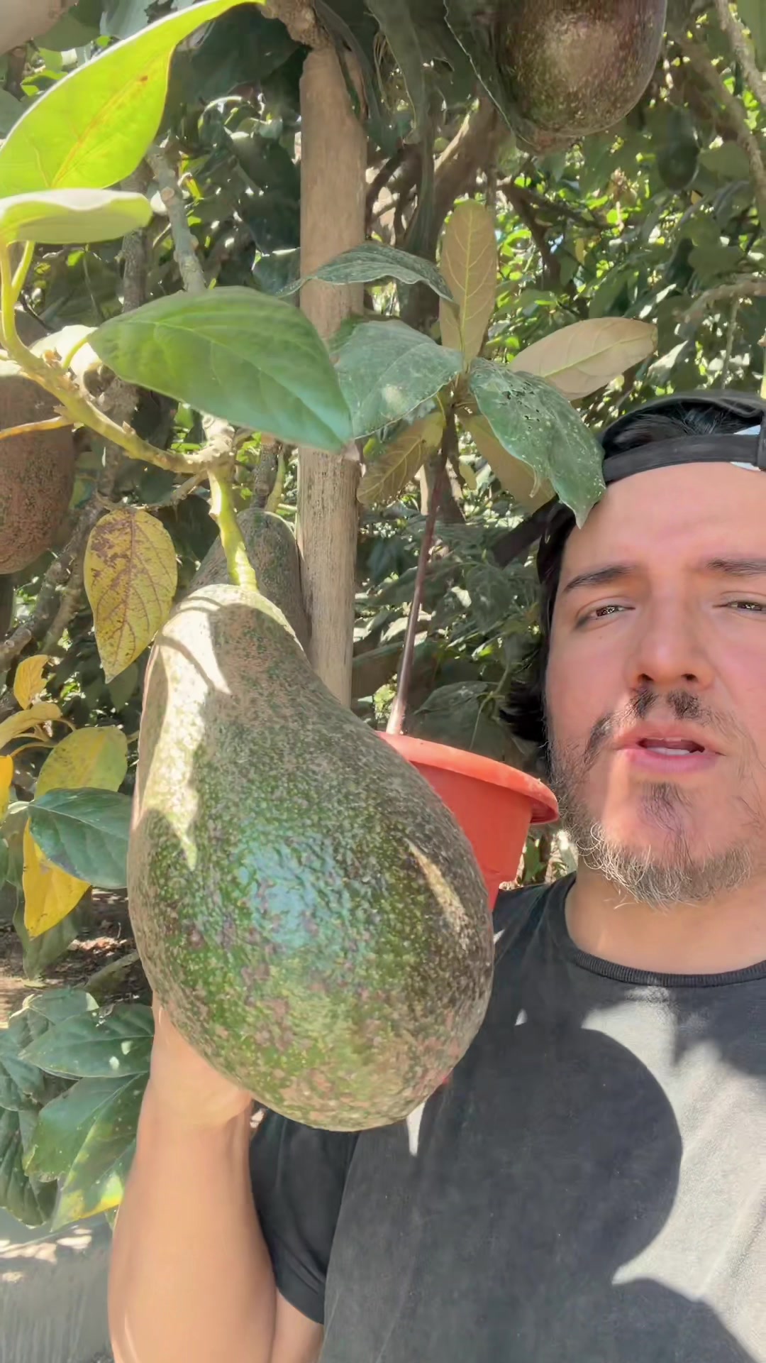 @Mr Kraus 🥑