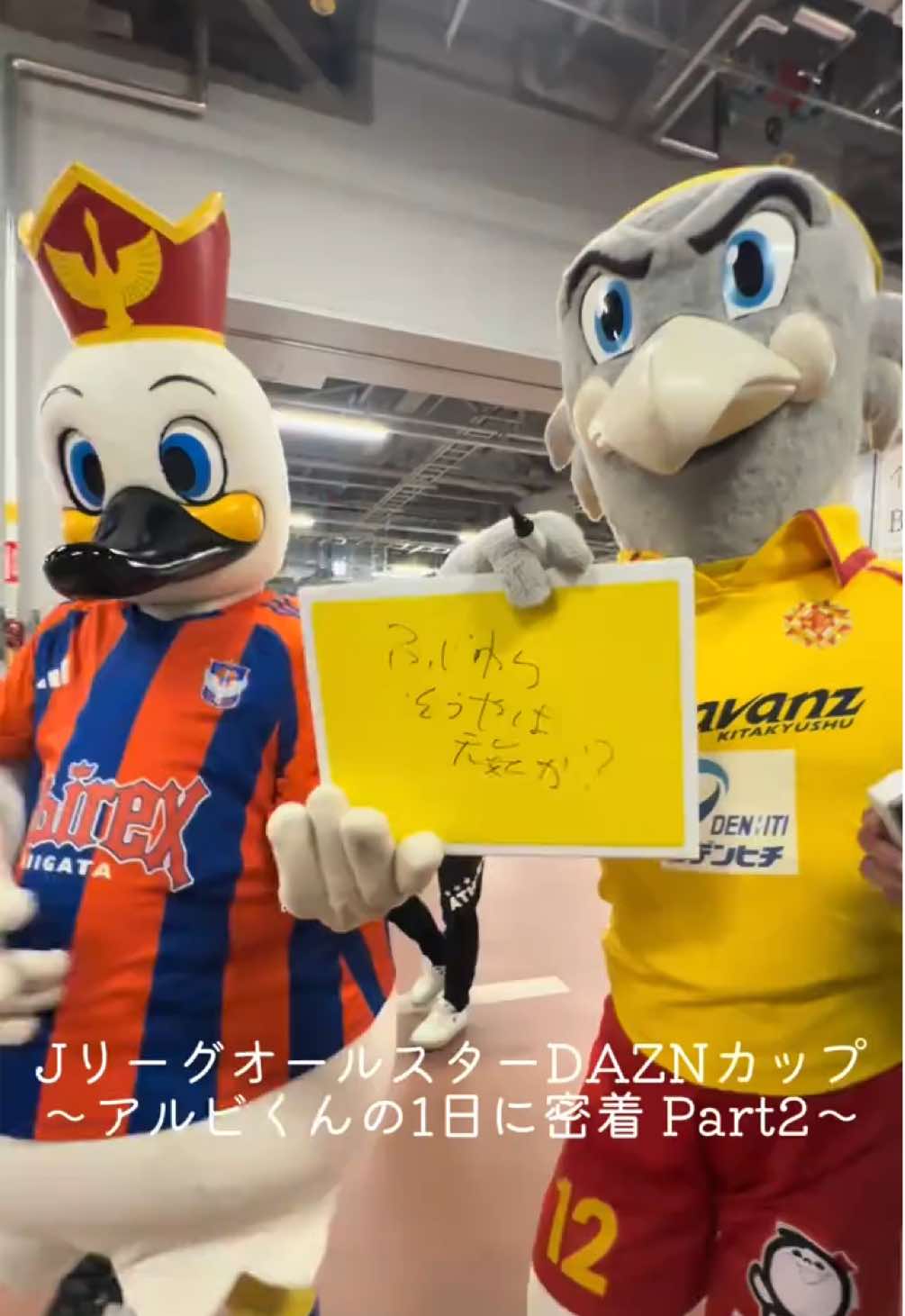 @アルビレックス新潟【公式】