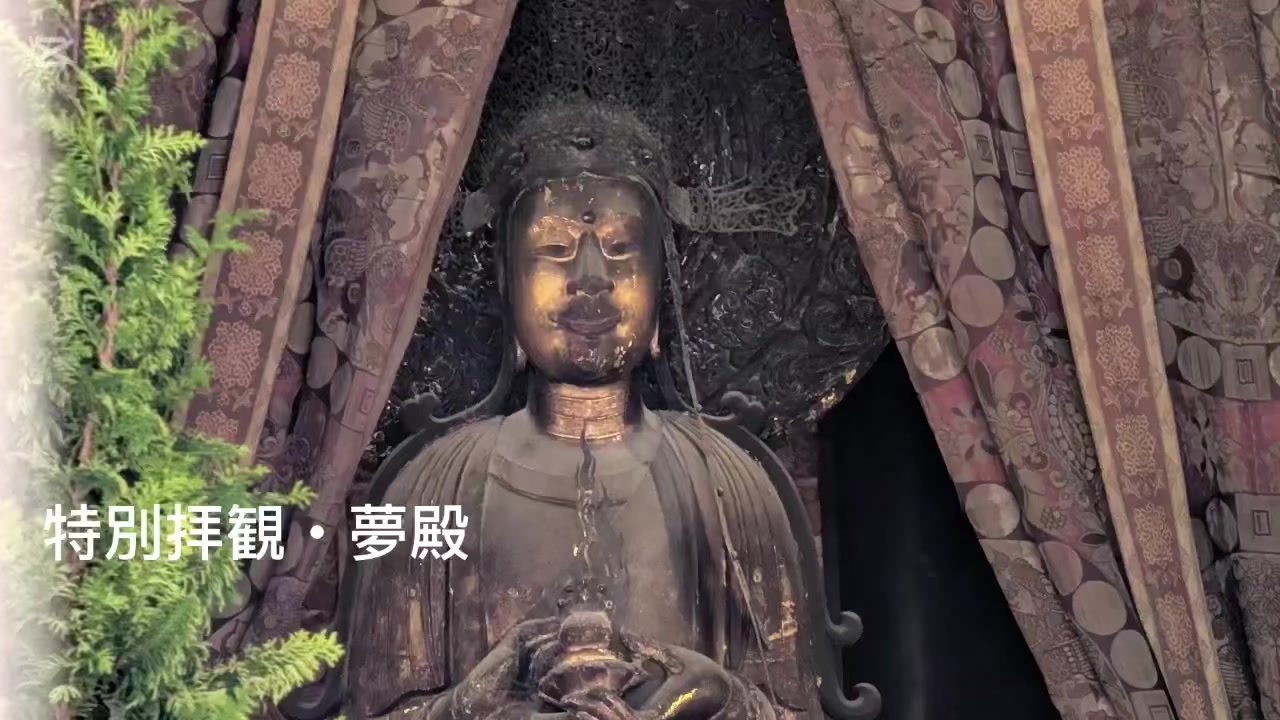 @自由人