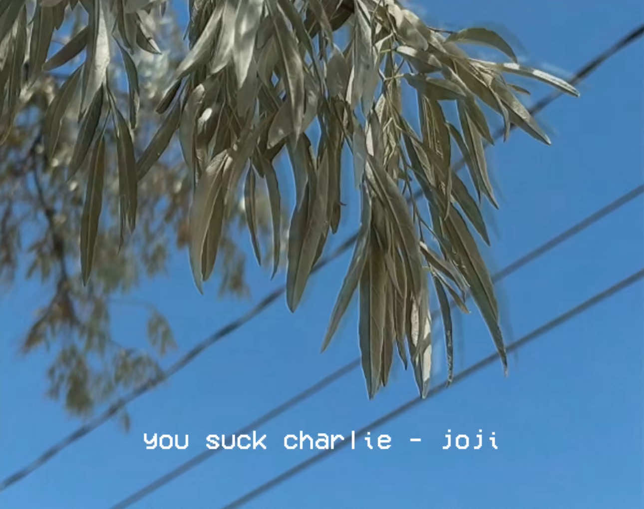 @hugo