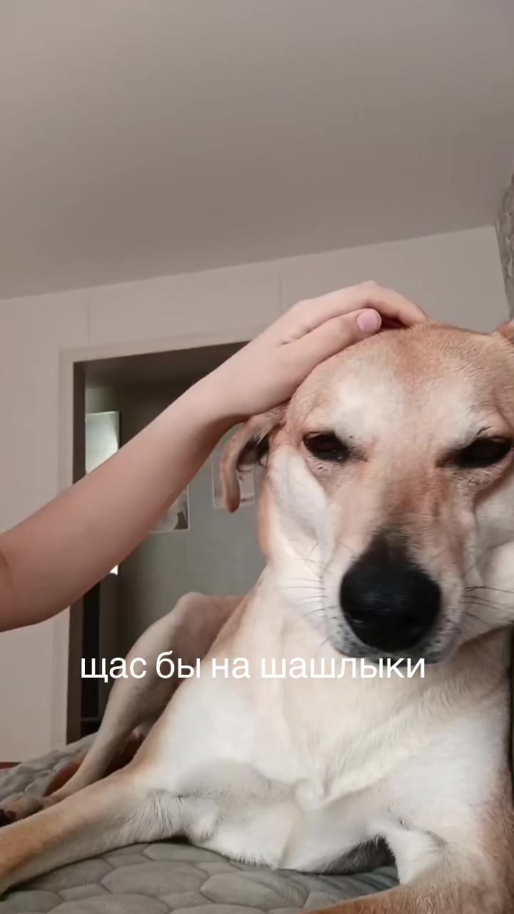 @irishkabelkinaa