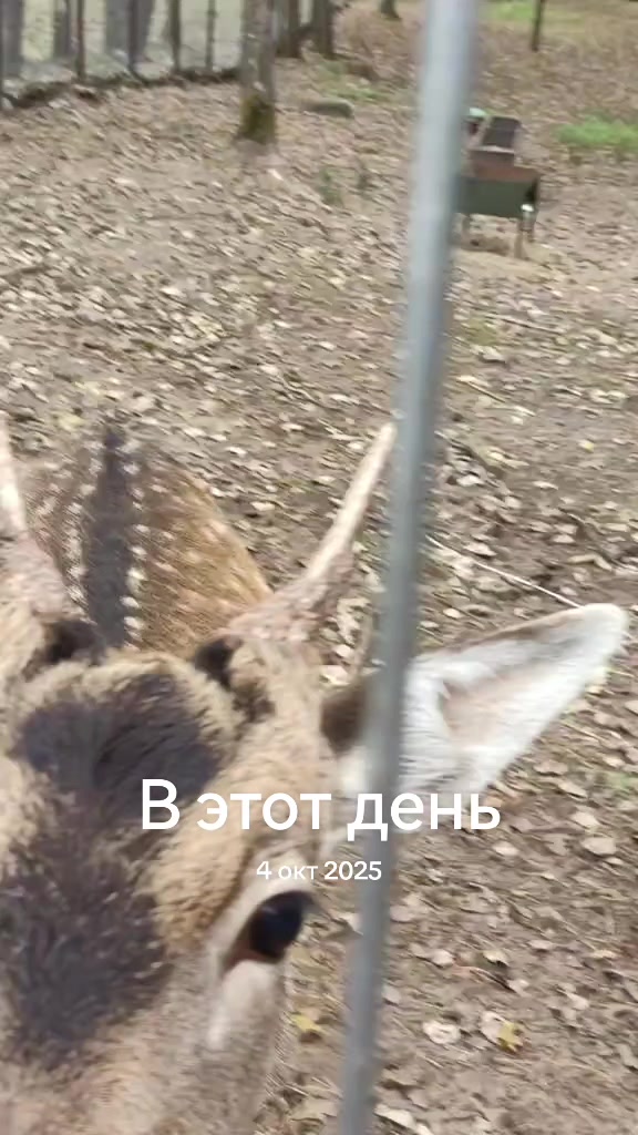 @Olga