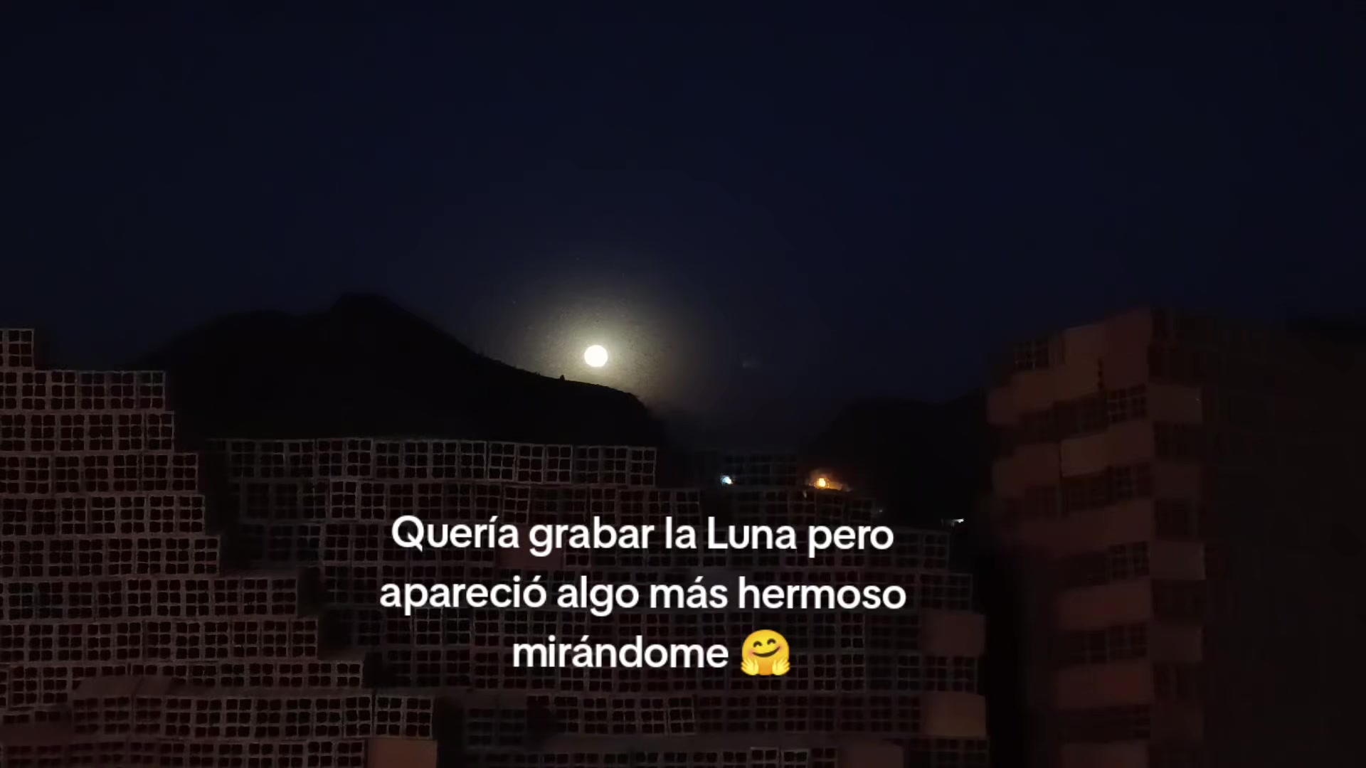 @Shiny Lu ✨