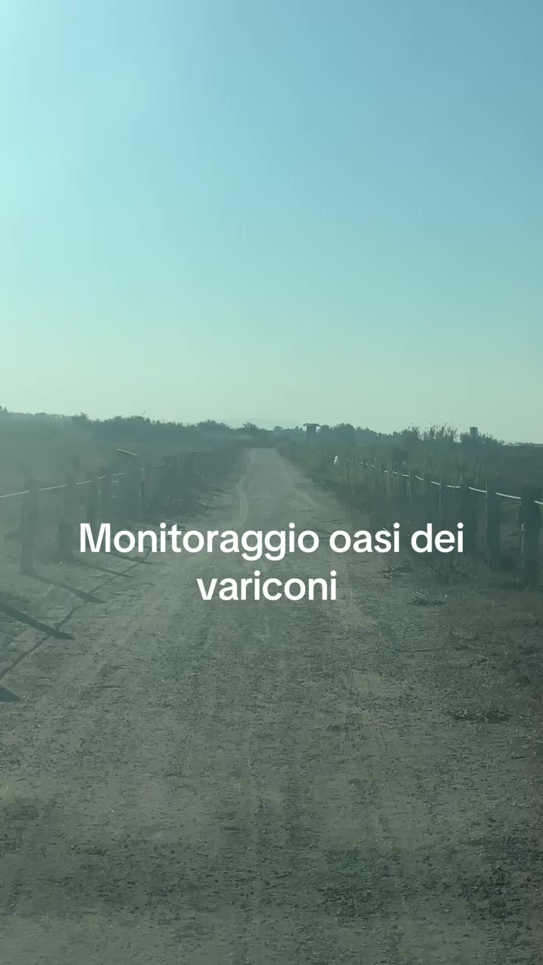 @protezionecivile2cv